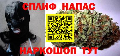 гашик Можга