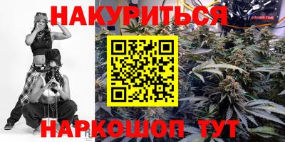 гашик Можга