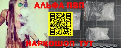 гашик Можга