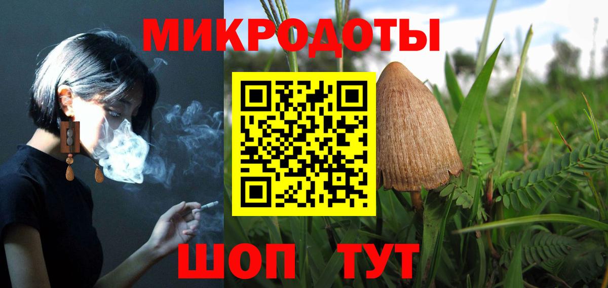 Галлюциногенные грибы Psilocybe Славянск-на-Кубани